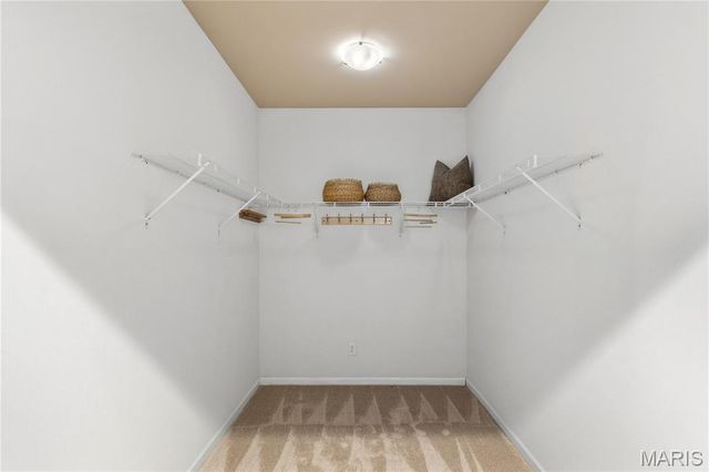 1310 Mackay Place, St Louis, MO 63104