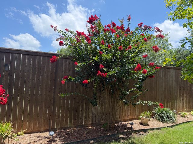 980 Water Oak, Schertz, TX 78154