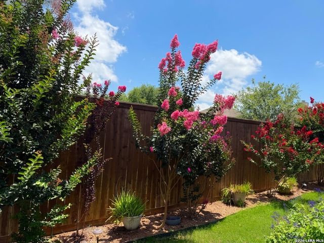 980 Water Oak, Schertz, TX 78154