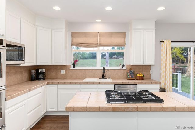 3678 Sunridge Terrace Drive, Castle Rock, CO 80109