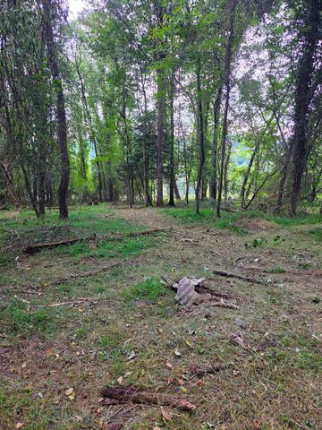 Lot 1 Thurman Street, Mccaysville, GA 30555