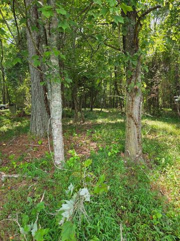 Lot 1 Thurman Street, Mccaysville, GA 30555