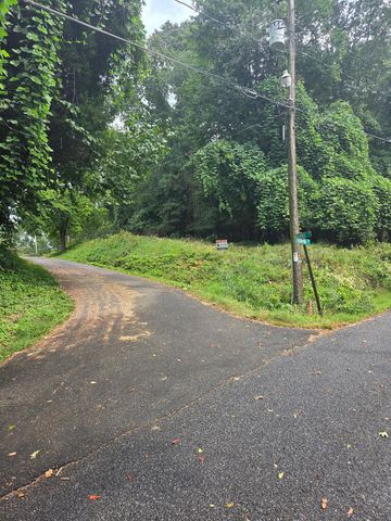Lot 1 Thurman Street, Mccaysville, GA 30555