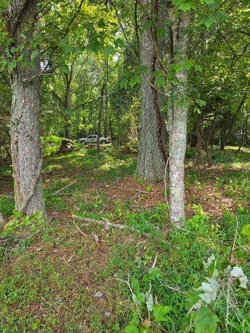 Lot 1 Thurman Street, Mccaysville, GA 30555