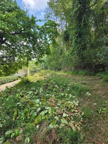 Lot 1 Thurman Street, Mccaysville, GA 30555
