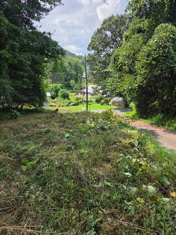 Lot 1 Thurman Street, Mccaysville, GA 30555