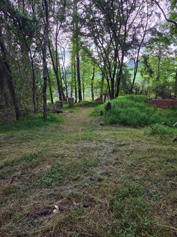 Lot 1 Thurman Street, Mccaysville, GA 30555