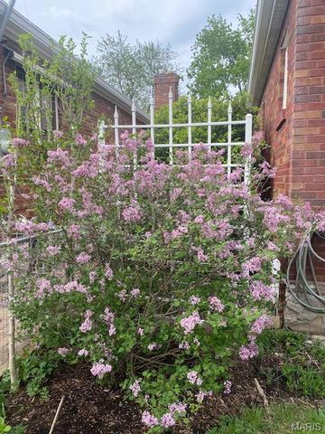 6542 Lindenwood Place, St Louis, MO 63109