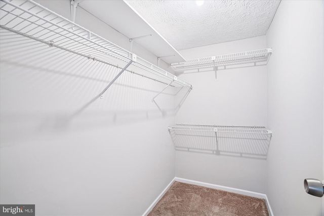 7508 RAIN FLOWER WAY, Columbia, MD 21046