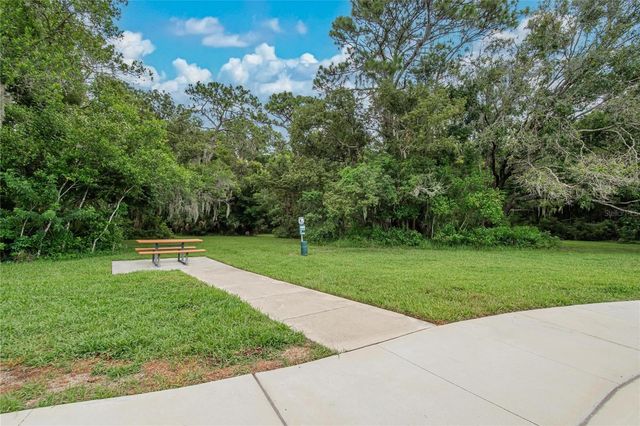2597 CHARLAN, Holiday, FL 34690