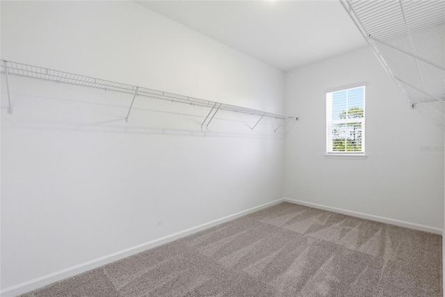 13023 TRANQUIL WATER ALLEY, Winter Garden, FL 34787