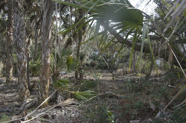 916 E Ashley Avenue, Folly Beach, SC 29439