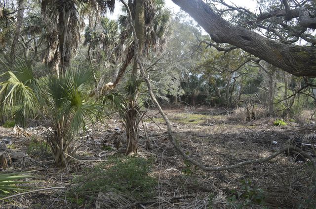 916 E Ashley Avenue, Folly Beach, SC 29439