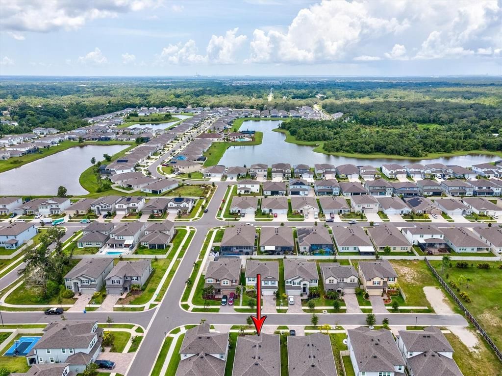 Image 50 of property listing at 12466 ROSEPINE PLACE, Riverview, FL 33579