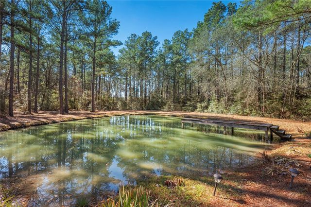 10102 Amelia Drive, Anderson, TX 77830