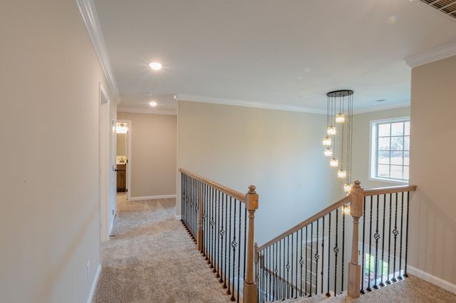 359 Timber Springs, Clarksville, TN 37042