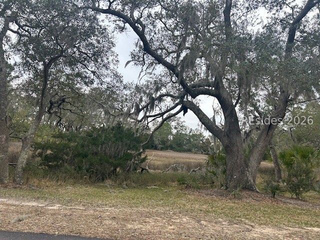 26 Pilot Point Rd, Ridgeland, SC 29936