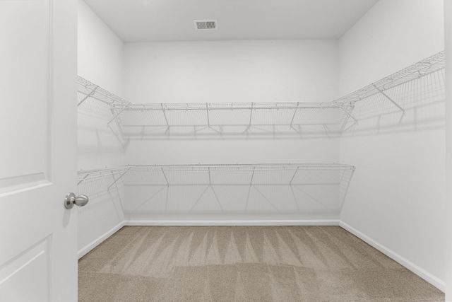 332 Spindlewood Way, Charleston, SC 29414