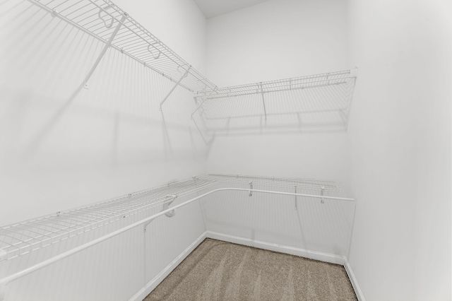 332 Spindlewood Way, Charleston, SC 29414