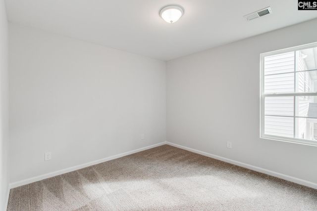 3008 Hallsdale Drive, Elgin, SC 29045