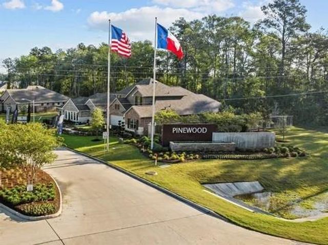 17322 Silver Birch Court, New Caney, TX 77357