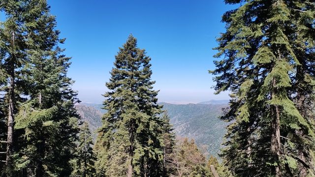 54622 Manzanita Drive, Sequoia Crest, CA 93265