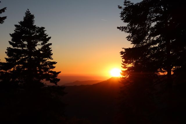 54622 Manzanita Drive, Sequoia Crest, CA 93265