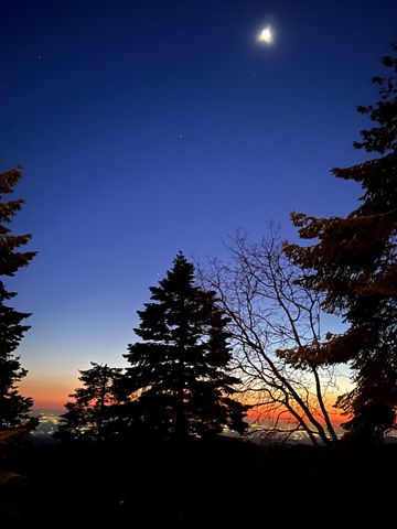 54622 Manzanita Drive, Sequoia Crest, CA 93265