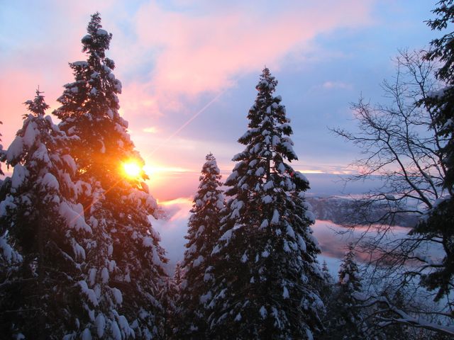 54622 Manzanita Drive, Sequoia Crest, CA 93265