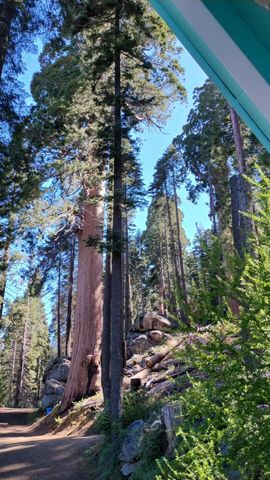 54622 Manzanita Drive, Sequoia Crest, CA 93265