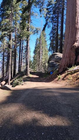 54622 Manzanita Drive, Sequoia Crest, CA 93265