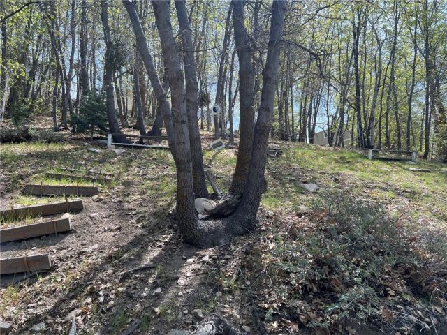 2151 Tank Road, Arrowbear, CA 92308