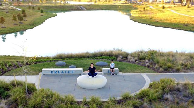 26814 Jovial Meadow Lane, Hockley, TX 77447