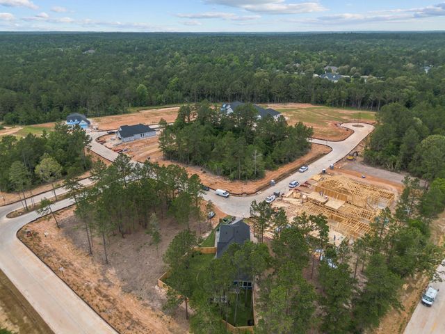 26814 Jovial Meadow Lane, Hockley, TX 77447