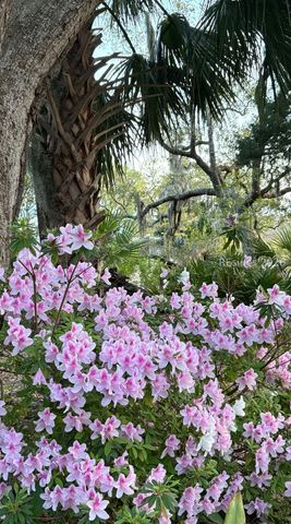 50 Scipio Rd, Beaufort, SC 29906