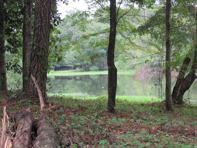 111 Barefoot Bayou, Eufaula, AL 36027