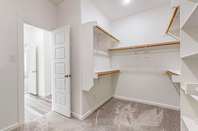369 Mule Deer Drive, Frisco, TX 75068