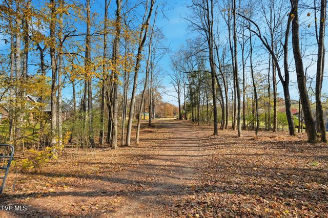 290 Candy Creek Private Drive, Blountville, TN 37617