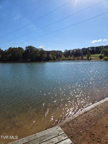 290 Candy Creek Private Drive, Blountville, TN 37617