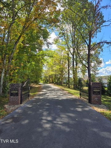 290 Candy Creek Private Drive, Blountville, TN 37617