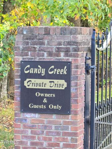 290 Candy Creek Private Drive, Blountville, TN 37617