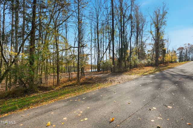 290 Candy Creek Private Drive, Blountville, TN 37617