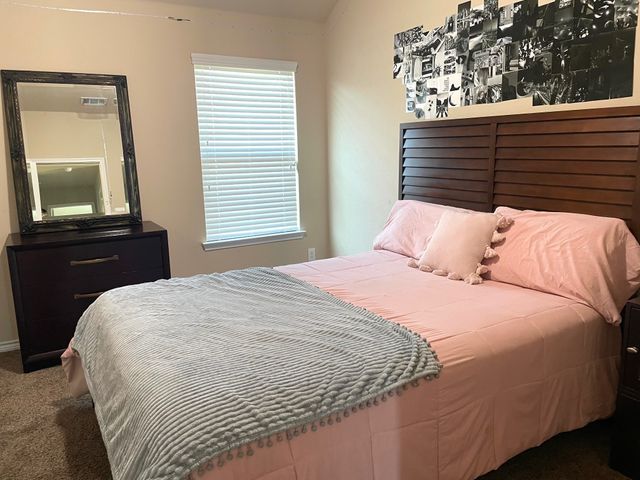 3013 Dominion Street, Denton, TX 76209