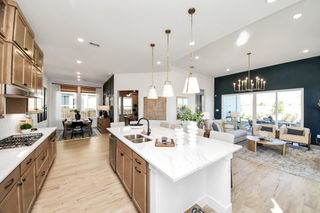 9510 Chateau Hill Drive, Manvel, TX 77578