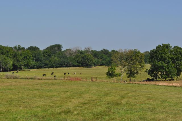 4697 North Farm Road 175, Springfield, MO 65803