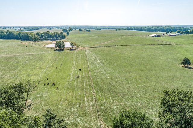4697 North Farm Road 175, Springfield, MO 65803