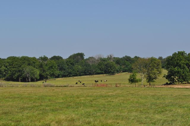 4697 North Farm Road 175, Springfield, MO 65803