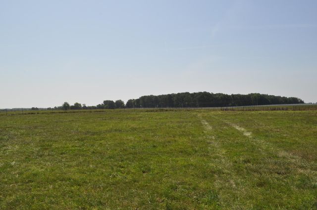 4697 North Farm Road 175, Springfield, MO 65803