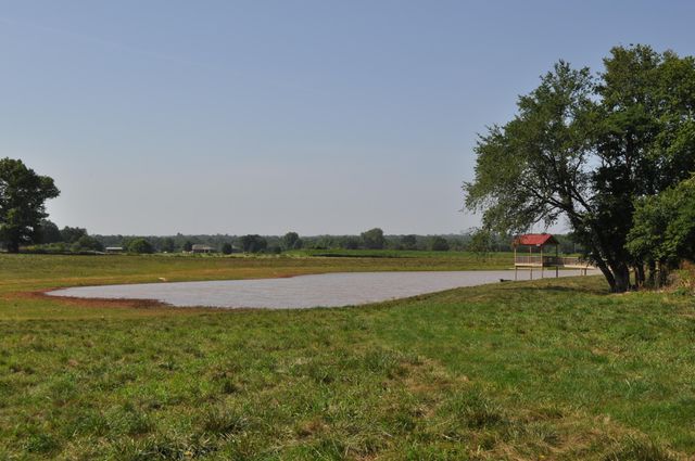 4697 North Farm Road 175, Springfield, MO 65803