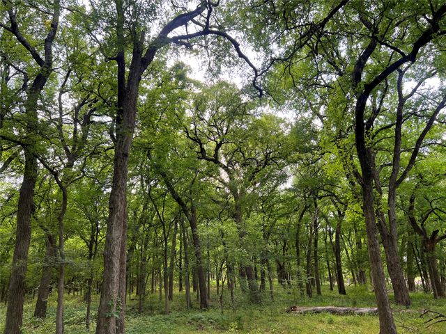 3024 Ida Lane, Alvarado, TX 76009